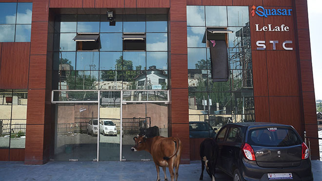 تتجول الماشية خارج مبنى مغلق مع مكاتب شركة الاتصالات السعودية STC وشركات البرمجيات الأخرى في سيناجار